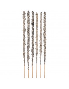 Prímula, Violetas, Alfazema... 2