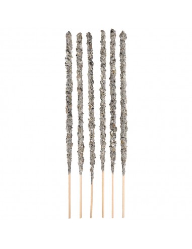 Evening Primrose, Orchids, Laurel -...