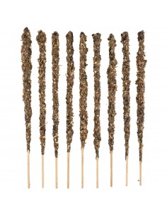 Sauge blanche - Mère sacrée 2