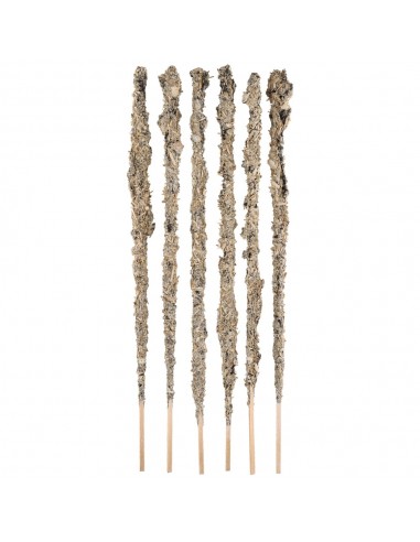 Evening primrose, chamomile,...