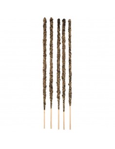 Rosemary Rue Rosemary... 2