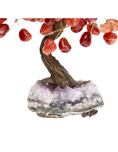 Small Carnelian Tree with Amethyst...