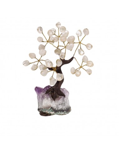 Mini Quartz Tree with Amethyst Druse...