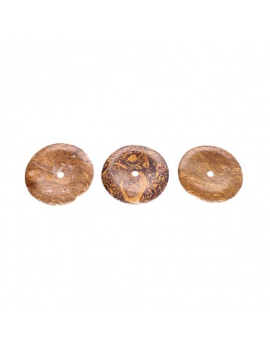 Grand donut de jaspe fossile Grade A