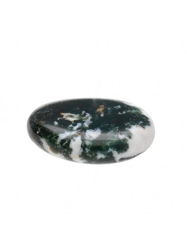 Arbre en agate roulée plate