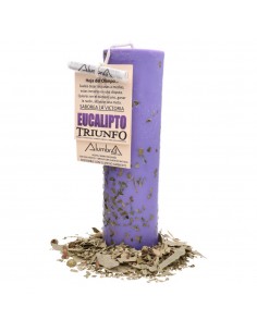 Triumph with Eucalyptus...