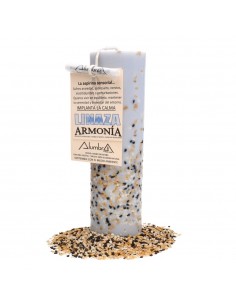 Vela Ritual Harmony with...