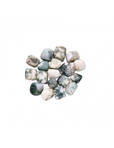 Rodados de Ágata Árbol 2x2cm