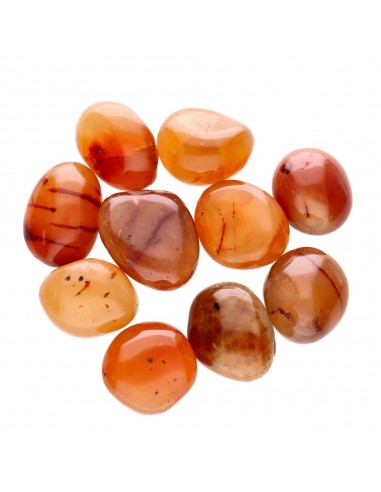 Rhodes en cornaline 4x3cm