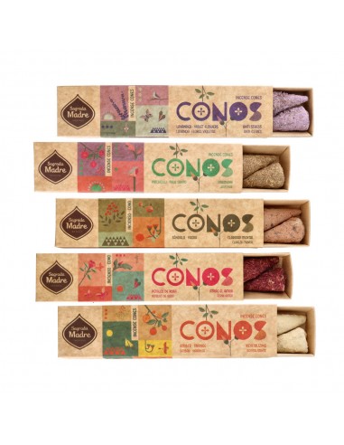 Conos Lavanda y Flores Violetas -...