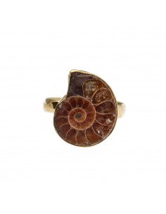 Bronze Ring with Ammonite -11-