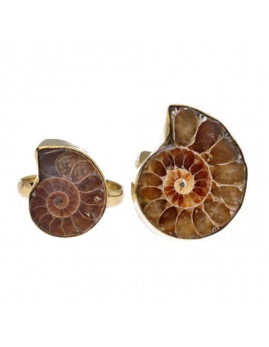 Bague en bronze avec ammonite -11-