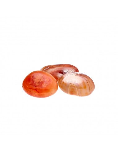 Carnelian Rhodies 4x5 - 7x8cm