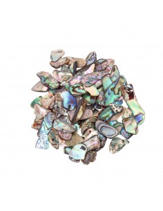 Batatas fritas de Abalone 2