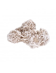 Grande Rosa do Deserto...