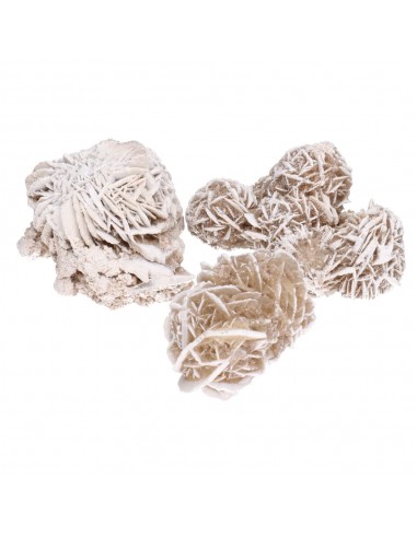 Grande Rosa do Deserto (pacote de 250g)