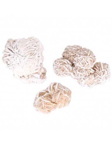 Grande Rosa do Deserto (pacote de 250g)