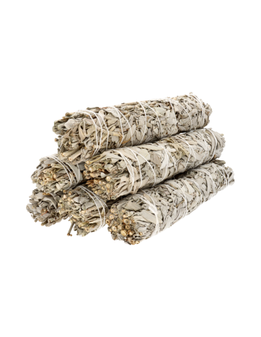 Large California White Sage (Salvia...