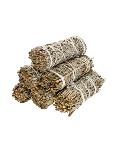 Salvia Azul California (Salvia...