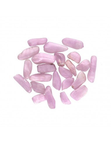 Kuncita Mini Rodados