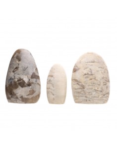 Formas Pulidas de Jaspe Gris