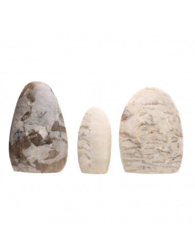 Formas Pulidas de Jaspe Gris