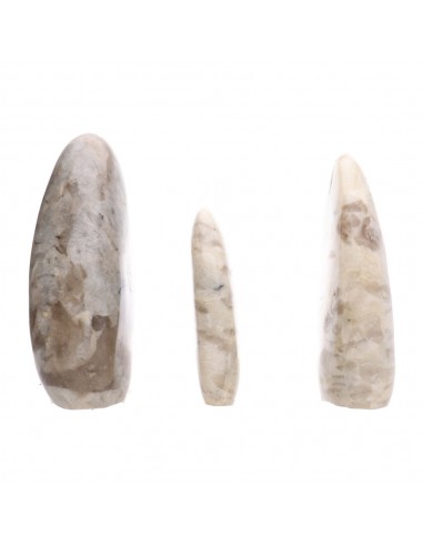 Formas Pulidas de Jaspe Gris