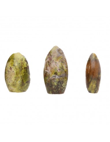 Polished Serpentine Shapes