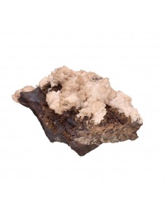 Olmiita en Bruto (A) 2