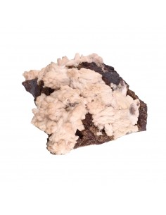 Olmiita en Bruto (A)