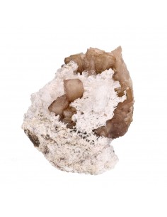 Olmiita en Bruto (B) 2