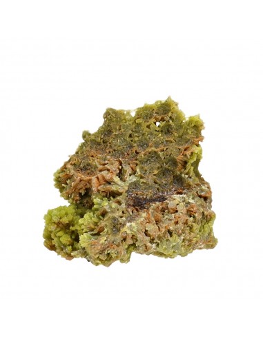 Piromorfita en Bruto (B)