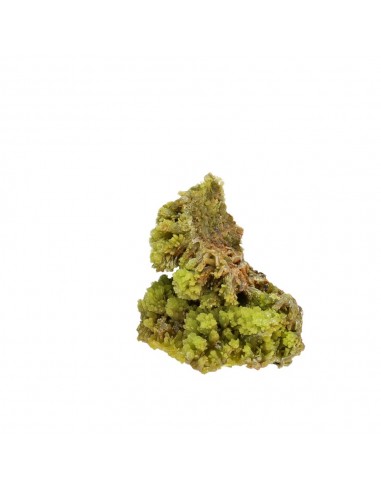 Gross Pyromorphite (B)