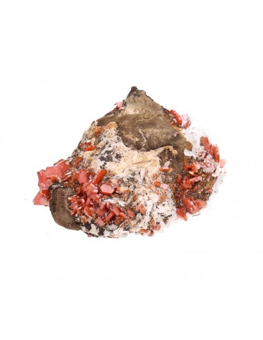 Vanadinite in Gross (F)