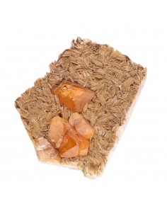 Scheelite et Muscovite à... 2