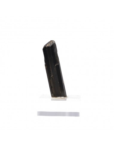 Tourmaline with Rough Backing (P)