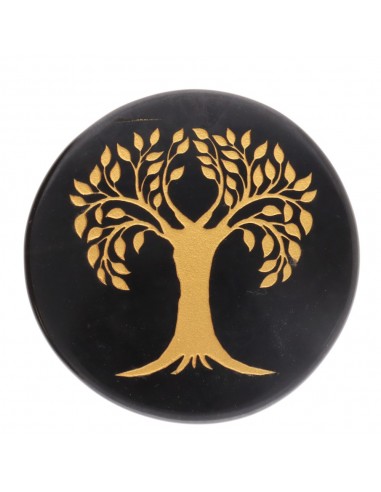 Placa de Obsidiana con Simbología...