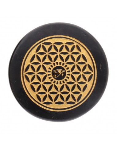 Placa de Obsidiana con Simbología...