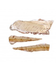 Selenita Miel Cristalizada...