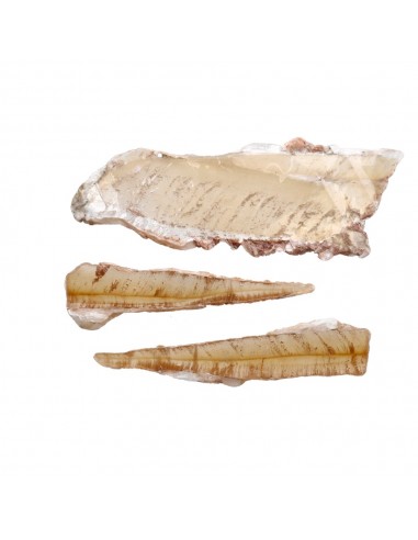 Selenite cristalizada Mel em bruto