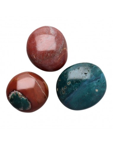 Rhodies de l'océan Jasper