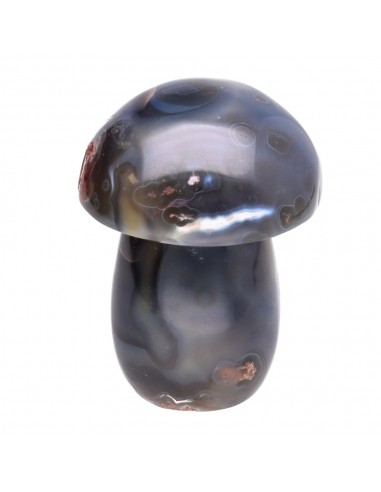Champignons d'agate