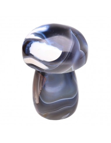 Champignons d'agate