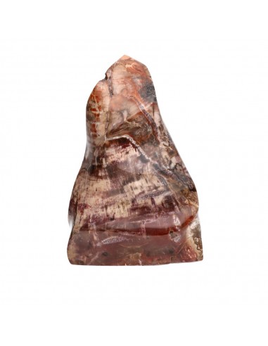 Polished Form of Xylophallus PX1