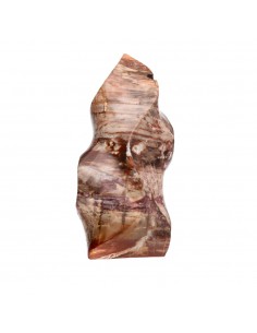 Forma Pulida de Xilópalo PX1 2