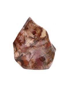 Forma Pulida de Xilópalo PX2