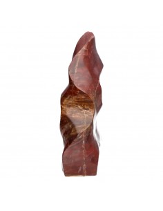 Polished Xylophallus PX3 Shape 2