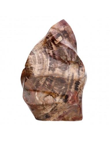 Forma Pulida de Xilópalo PX4