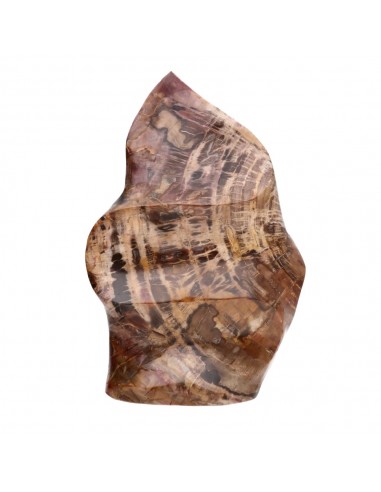 Forma Pulida de Xilópalo PX4