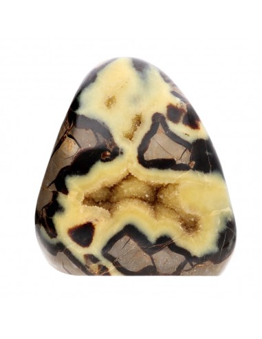 Septaria forme polie (M)